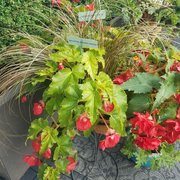 Meet your Posher, Mary ann - Picture 1 of 1